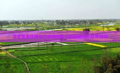 吉安至重庆磁器口旅游攻略与精选旅行社推荐指南