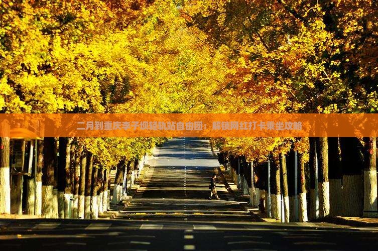 二月到重庆李子坝轻轨站自由团：解锁网红打卡乘坐攻略