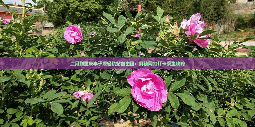 二月到重庆李子坝轻轨站自由团：解锁网红打卡乘坐攻略