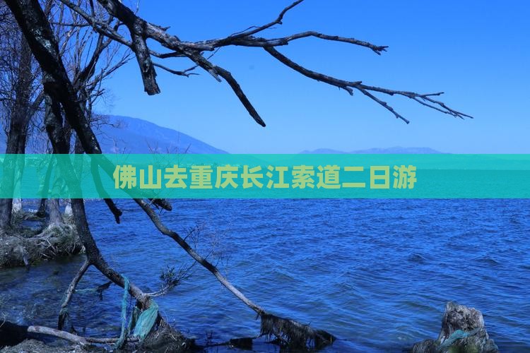 佛山去重庆长江索道二日游