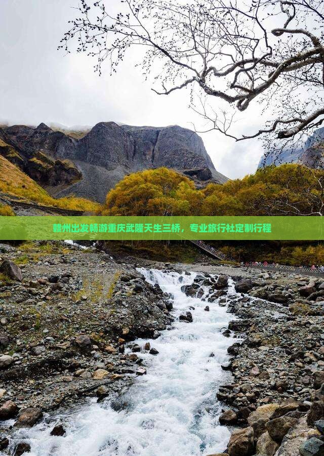 赣州出发畅游重庆武隆天生三桥，专业旅行社定制行程
