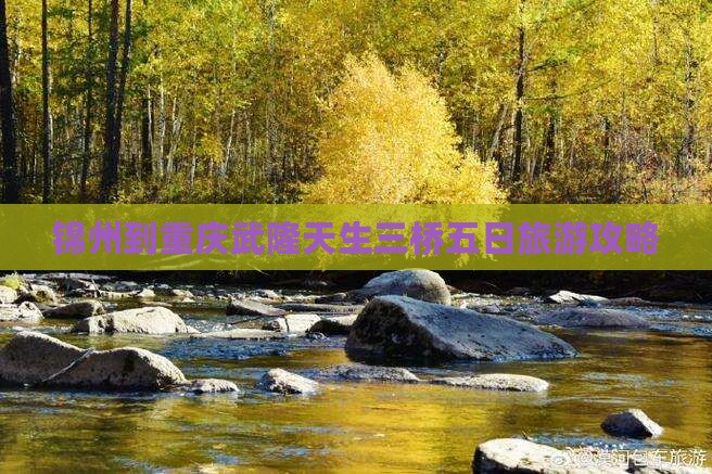 锦州到重庆武隆天生三桥五日旅游攻略