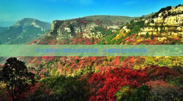 前往重庆WFC观景台旅游全攻略：从咸阳出发的详细指南