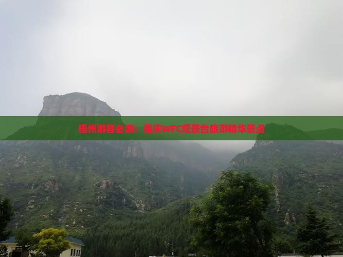 梧州游客必游：重庆WFC观景台旅游精华景点