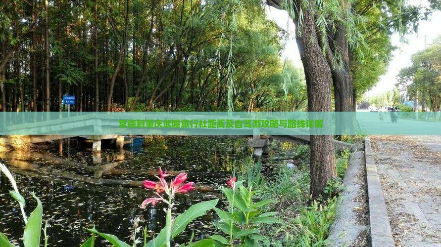 常德到重庆武隆旅行社距离及自驾游攻略与路线详解