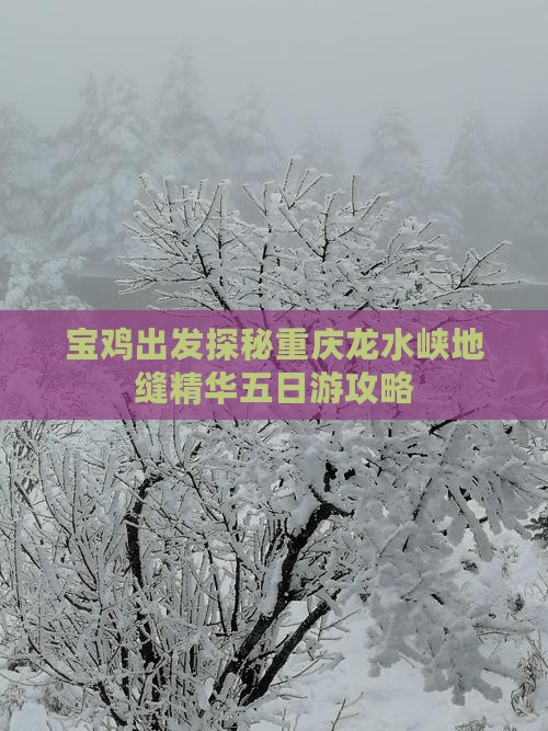 宝鸡出发探秘重庆龙水峡地缝精华五日游攻略