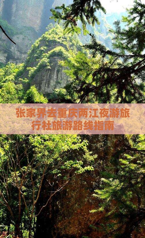 张家界去重庆两江夜游旅行社旅游路线指南