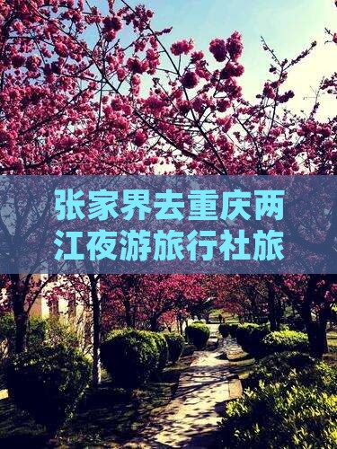 张家界去重庆两江夜游旅行社旅游路线指南