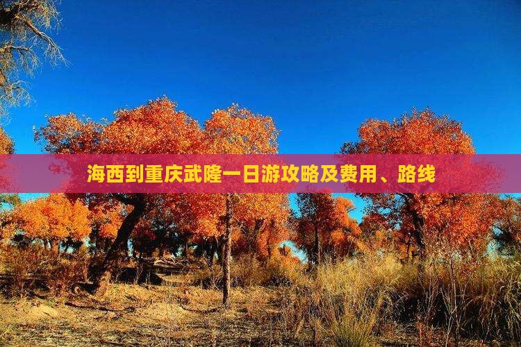 海西到重庆武隆一日游攻略及费用、路线