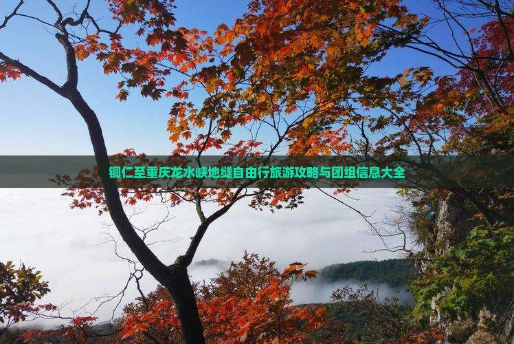 铜仁至重庆龙水峡地缝自由行旅游攻略与团组信息大全