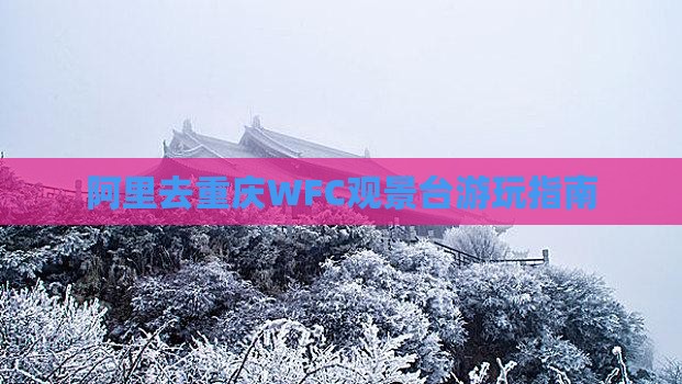 阿里去重庆WFC观景台游玩指南