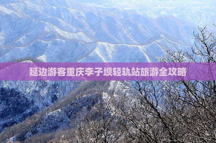 延边游客重庆李子坝轻轨站旅游全攻略