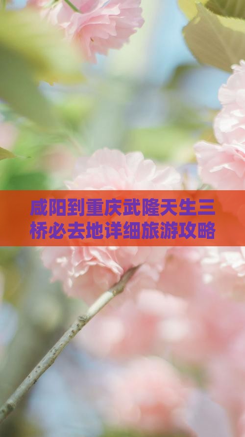 咸阳到重庆武隆天生三桥必去地详细旅游攻略