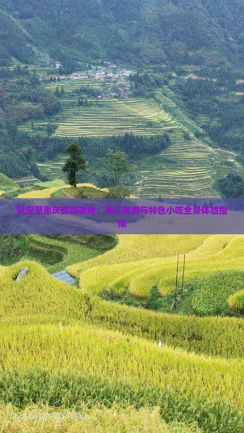 延安至重庆旅游攻略：两江夜游与特色小吃全景体验指南