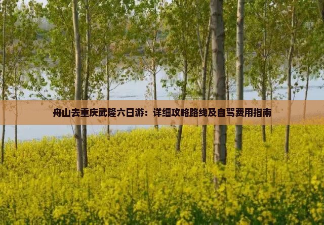 舟山去重庆武隆六日游：详细攻略路线及自驾费用指南