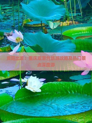 资阳出发：重庆观景台旅游攻略及热门景点深度游