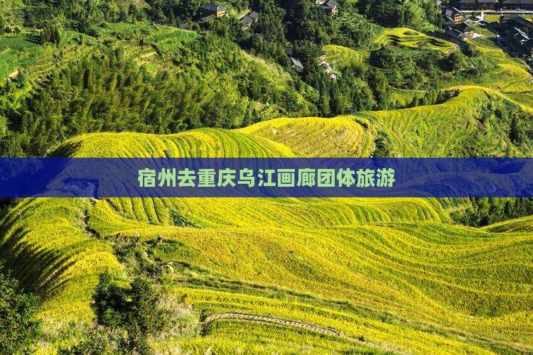宿州去重庆乌江画廊团体旅游
