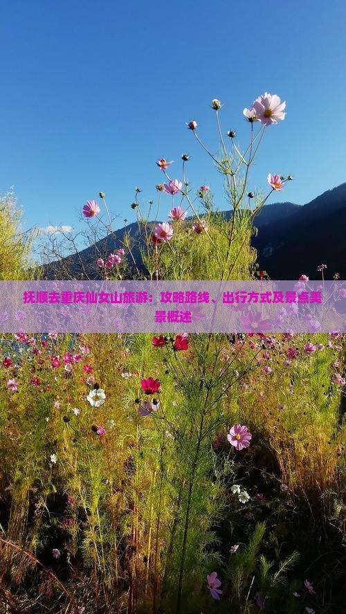 抚顺去重庆仙女山旅游：攻略路线、出行方式及景点美景概述