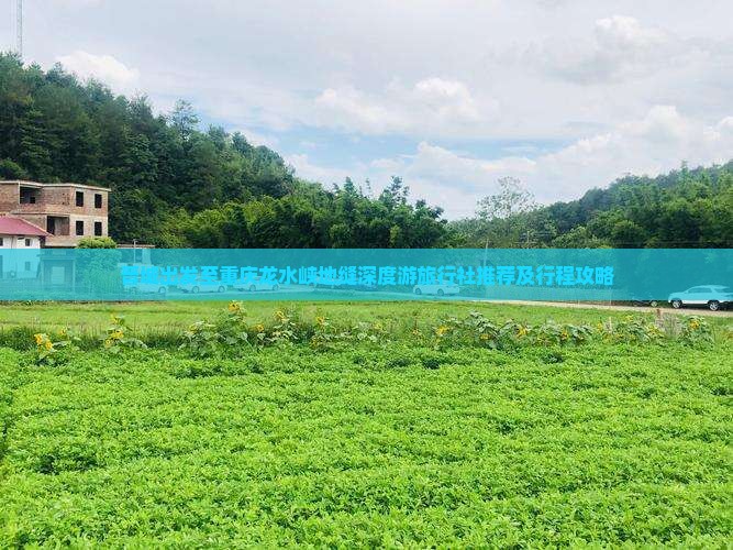 晋城出发至重庆龙水峡地缝深度游旅行社推荐及行程攻略