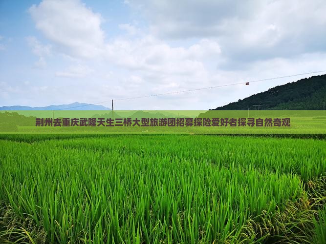 荆州去重庆武隆天生三桥大型旅游团招募探险爱好者探寻自然奇观