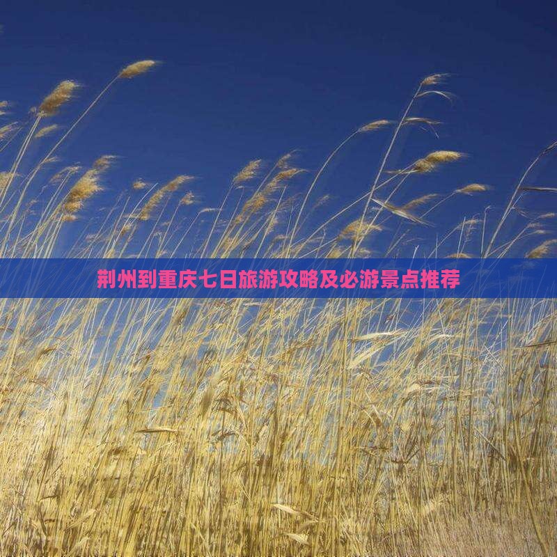 荆州到重庆七日旅游攻略及必游景点推荐