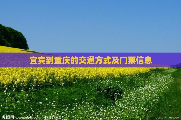宜宾到重庆的交通方式及门票信息
