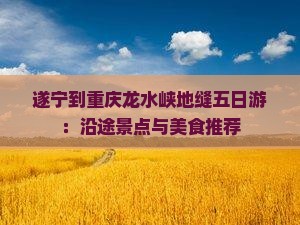 遂宁到重庆龙水峡地缝五日游：沿途景点与美食推荐
