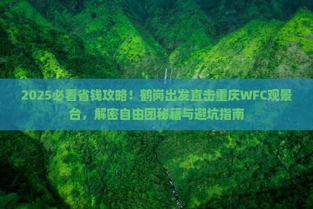 鹤岗去重庆wfc观景台自由团