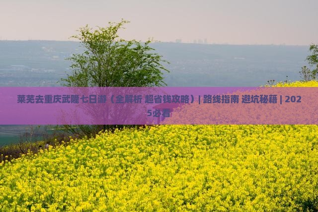 莱芜去重庆武隆七日游 莱芜去重庆武隆七日游