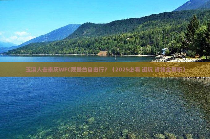 玉溪去重庆wfc观景台自由行