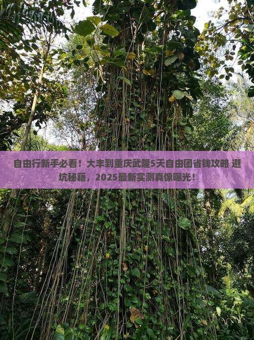 大丰到重庆武隆自由团