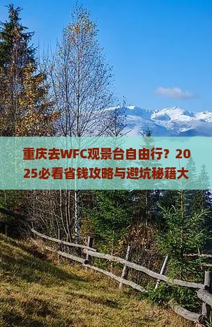 重庆去重庆wfc观景台自由行
