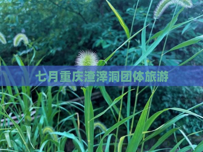 七月去重庆渣滓洞团体旅游