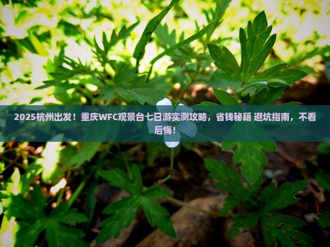 杭州去重庆wfc观景台七日游