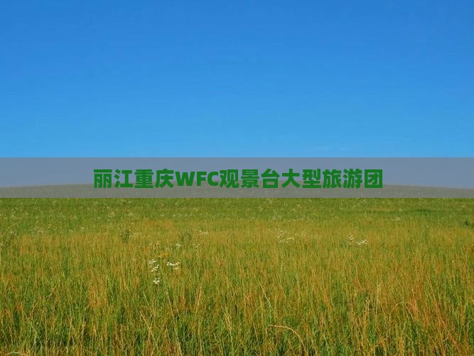 丽江去重庆wfc观景台大型旅游团