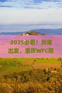 贵港去重庆wfc观景台自由行