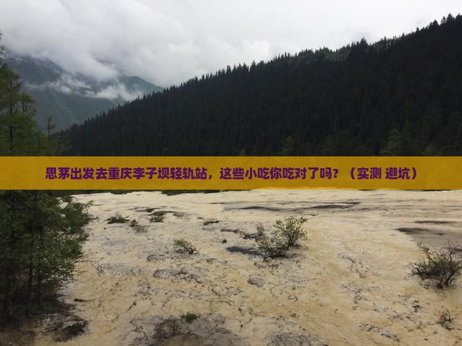 思茅到重庆李子坝轻轨站旅游小吃