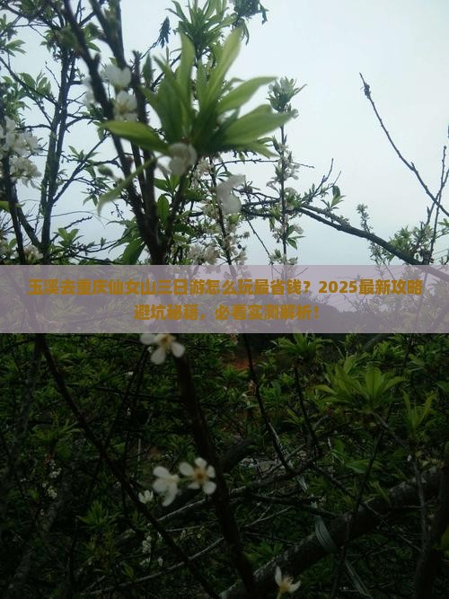 玉溪去重庆仙女山三日游