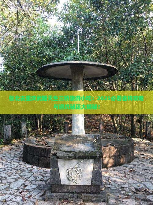 张北去重庆武隆天生三桥旅游小吃