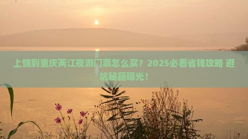 上饶到重庆两江夜游门票