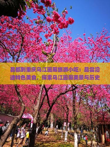 昌都到重庆乌江画廊旅游小吃