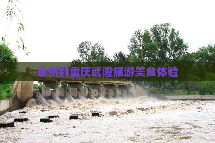 惠州到重庆武隆旅游小吃
