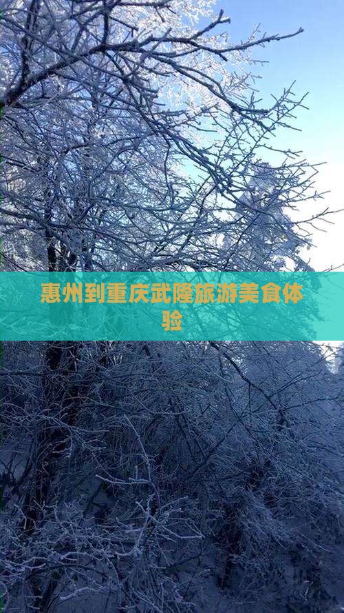 惠州到重庆武隆旅游小吃