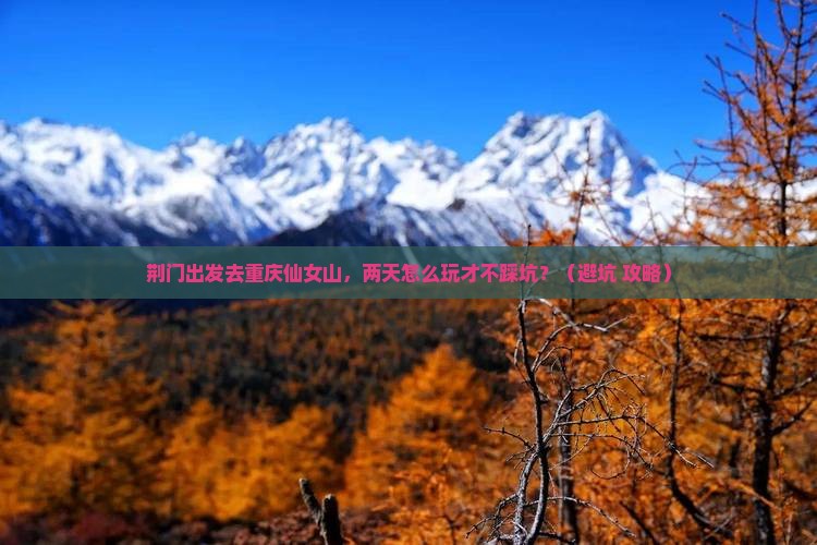荆门到重庆仙女山二日游