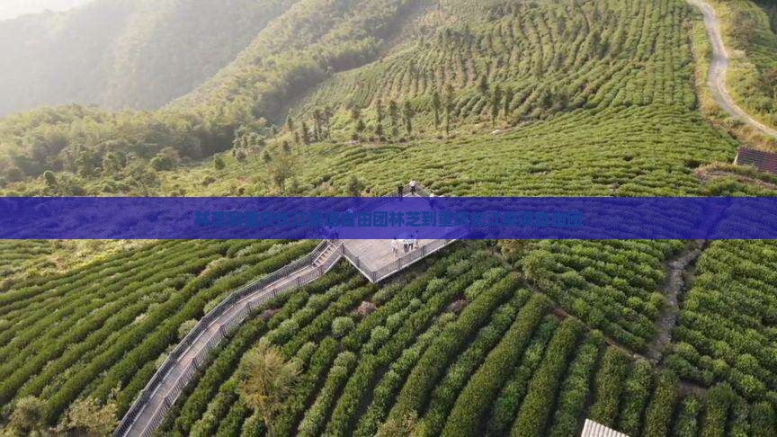 林芝到重庆长江索道自由团