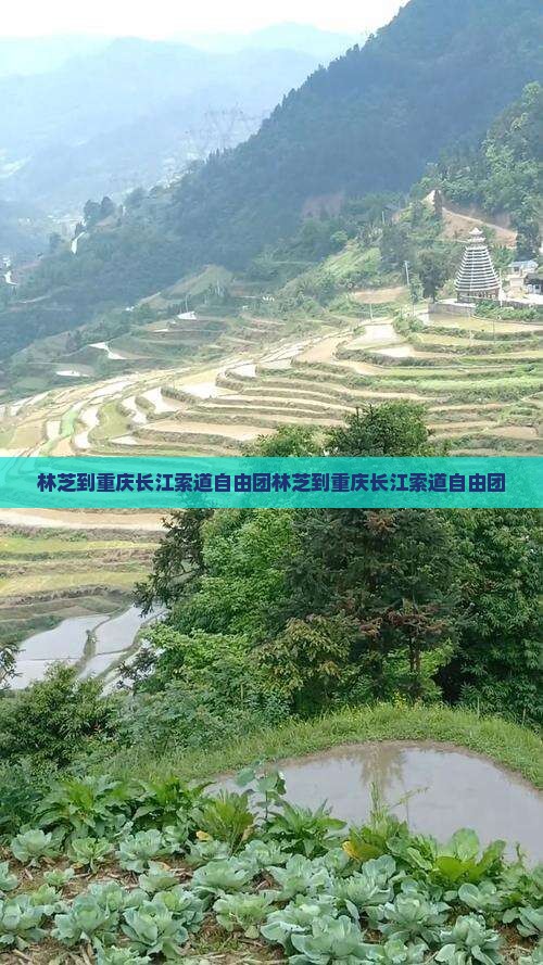 林芝到重庆长江索道自由团