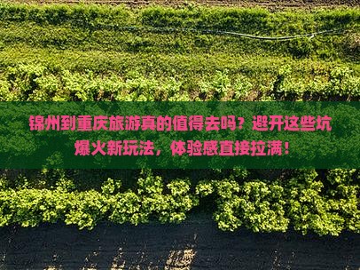 锦州到重庆旅游