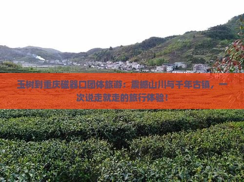 玉树到重庆磁器口团体旅游