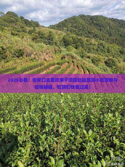 张家口去重庆李子坝轻轨站旅游小吃