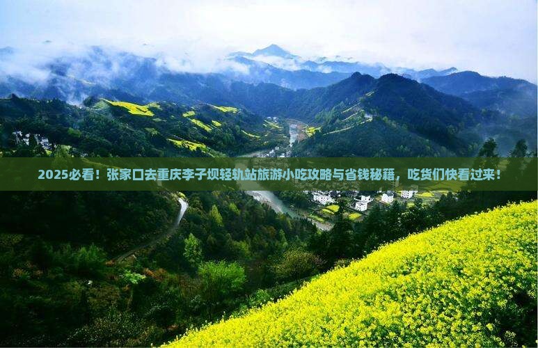 张家口去重庆李子坝轻轨站旅游小吃